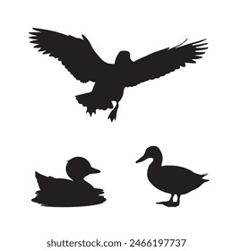 Eine Reihe von schwarzen Silhouetten isoliert von Enten. Enten Vektorillustration. Enten sind Kunstwerke.