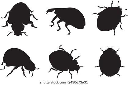 Set of black silhouettes of ladybug in different poses isolated on white background. Insect. Beetle. Walking, standing, top view. Vector realistic illustrations