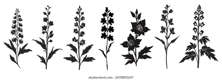 Set of black silhouettes of Larkspur, July birth month flower. Hand drawn outline Delphinium flower icon. Vector monochrome illustrations isolated on white background.