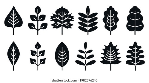 Set black silhouettes leaf isolated on white background. Realistic autumn leaves with white streaks. Simple flat style, vector illustration for scrapbooking, notebook, dishes.Simple glyph