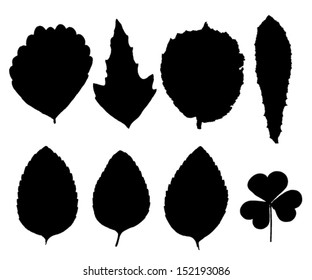 Set of black silhouettes of leaves on a white background