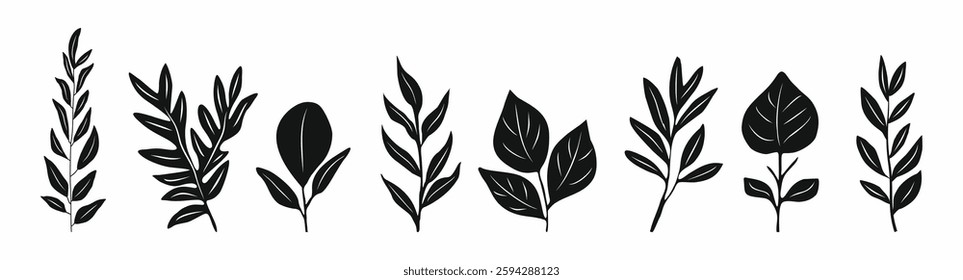 Set of black silhouettes of leaves on white background. The leaves are all different shapes and sizes. Flat vector illustrations isolated