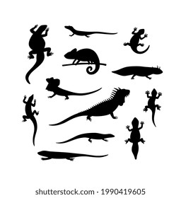 A set of black silhouettes lizard, salamander, chameleon, iguana and other reptiles. Icons for logo, tattoo or zoo design. Vector illustrations isolated on white.