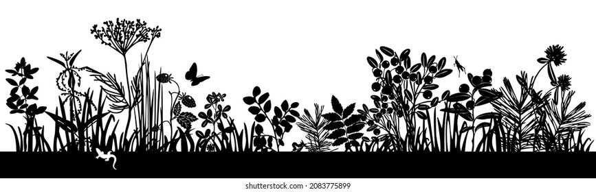 A set of black silhouettes of meadow wild grasses and flowers on a white background.  Botanical elements.