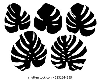 Set of black silhouettes of monstera leaves