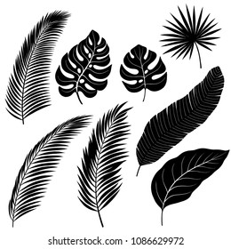 Set of black silhouettes of palm and banana leafs, and palm tree branches, isolated on white.