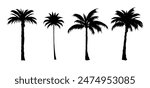 set of black silhouettes of a palm tree, silhouette of a palm tree isolated