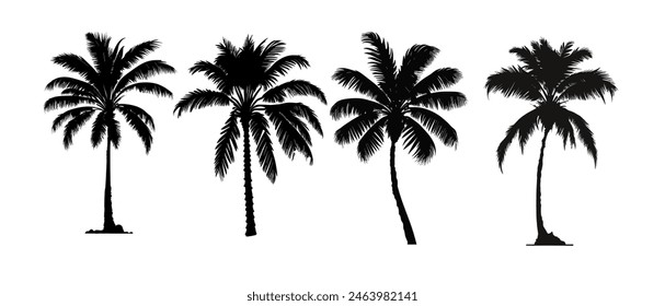 set of black silhouettes of a palm tree, silhouette of a palm tree isolated	