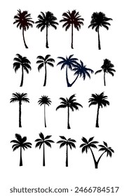 set of black silhouettes of a palm tree, silhouette of a palm tree isolated	