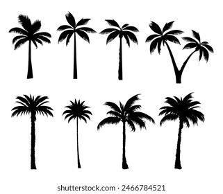 set of black silhouettes of a palm tree, silhouette of a palm tree isolated	