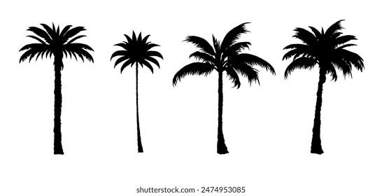 set of black silhouettes of a palm tree, silhouette of a palm tree isolated