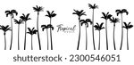 Set of black silhouettes of palm trees. Vector illustration 10 eps.