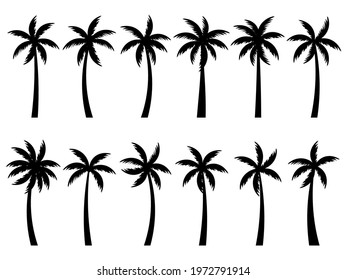 Set of black silhouettes of palm trees isolated on white background. Large collection of palm tree designs for posters and promotional items. Vector illustration