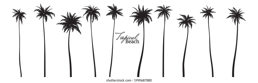 Set of black silhouettes of palm trees. Vector illustration. 