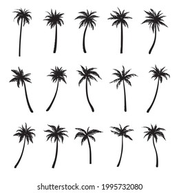 Set of black silhouettes of palm trees. Vector illustration.