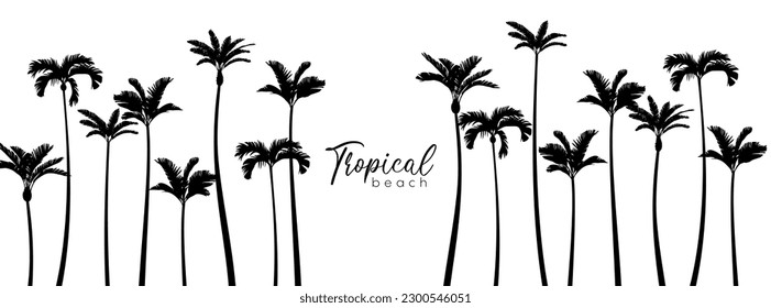 Set of black silhouettes of palm trees. Vector illustration 10 eps.