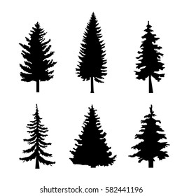 Vector Trees Illustrations Monochrome Illustrations Coniferous Stock ...