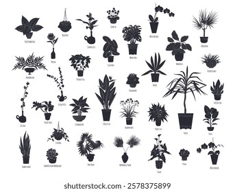 Set of black silhouettes of potted houseplants isolated on white background. Tropical plants monochrome hand drawn designs bundle