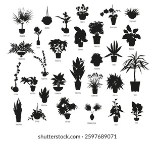 Set of black silhouettes of potted houseplants isolated on white background. Tropical plants monochrome hand drawn designs bundle