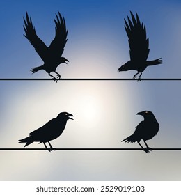 Set of black silhouettes of a raven sitting on a rope. Crow with yellow eyes. Vector graphics