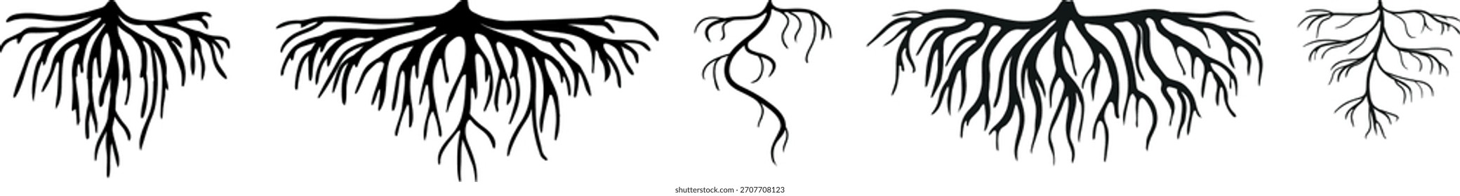 Set of black silhouettes of roots isolated on white background
