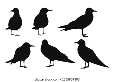 Set of black silhouettes seagulls. Vector illustration