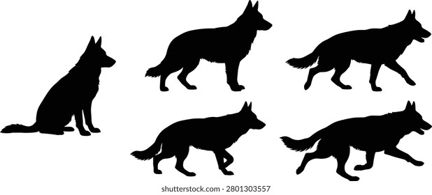 A set of black silhouettes showing a large dog in different poses including sitting, standing, and running. Perfect for use in pet care, animal training, veterinary, or security industry graphic design projects.
