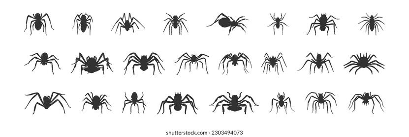 Set of black silhouettes of spiders isolated on white background, vector illustration