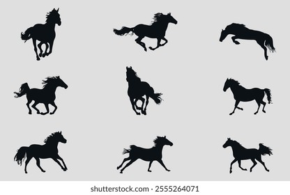 A set of black silhouettes of a sports horse. Vector on black background