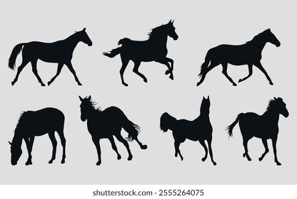 A set of black silhouettes of a sports horse. Vector on black background