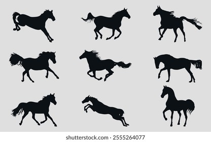 A set of black silhouettes of a sports horse. Vector on black background