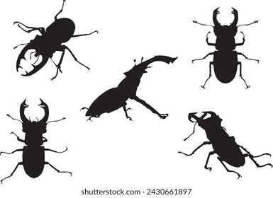 Set of black silhouettes of stag beetle in different poses isolated on white background. Insect. Top view, walking, standing. Vector realistic illustrations