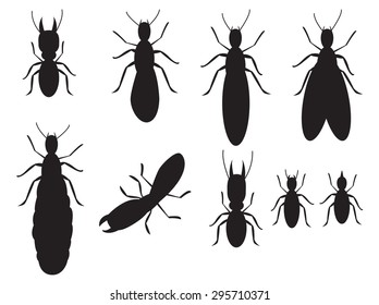 Set of Black silhouettes termites on a white background, vector. top view.