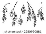Set of black silhouettes of tree branches with leaves isolated on white. Vector monochrome foliage weeping willow tree. Deciduous plant element.