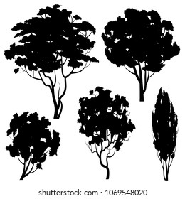 Set of black silhouettes of trees of different shapes. Vector illustration.