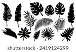 Set of black silhouettes of tropical leaves of palm trees, trees. Hand drawn vector illustration isolated on white. Tropical exotic leaves collection of palm, monstera, coconut, banana tree.