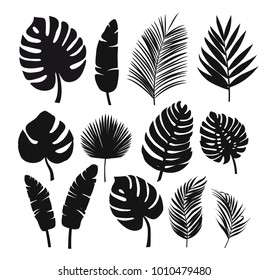 Set of black silhouettes of tropical leaves palms, trees. Vector - Shutterstock ID 1010479480