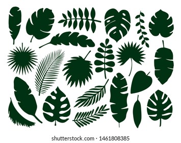 Set of black silhouettes of tropical leaves palms, trees. Monstera.