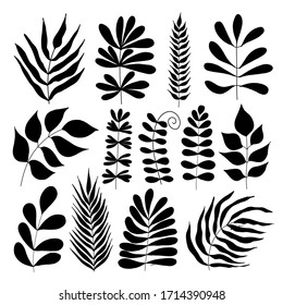 Set of black silhouettes of tropical leaves palms, trees. Botanical tree branches, palm leaf on the stem. Spring summer leaf. Vector stock illustration.