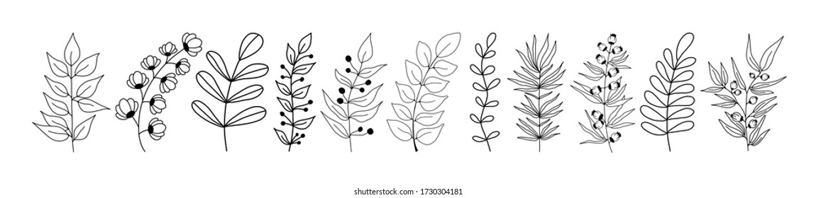 Set of black silhouettes of tropical leaves on an isolated white background. Botanical tree branches, palm leaf on the stem. Spring summer leaf. Concept design logo icons. Vector illustration.