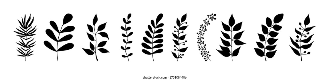 Set of black silhouettes of tropical leaves palms, trees. Botanical tree branches, palm leaf on the stem. Spring summer leaf. Vector stock illustration.