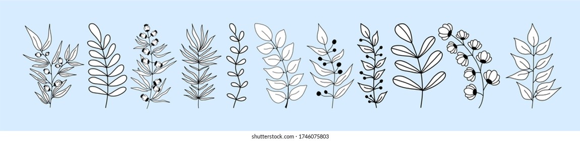 Set of black silhouettes of tropical leaves on an isolated white background. Botanical tree branches, palm leaf on the stem. Spring summer leaf. Concept design logo icons. Vector illustration.