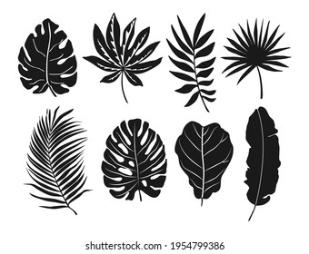 Set of black silhouettes of tropical leaves. Palm, monstera leaves isolated on white vector element set.