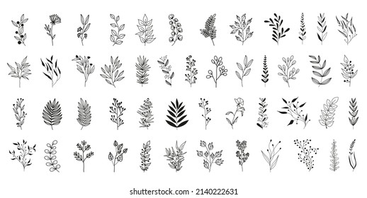 Set of black silhouettes of tropical leaves on an isolated white background. Botanical tree branches, palm leaf on the stem. Spring summer leaf. Concept design logo icons. Vector illustration.