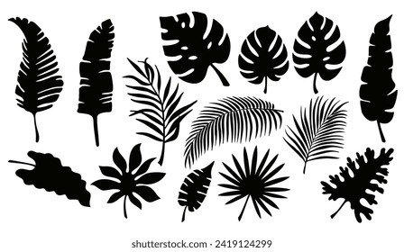 Set of black silhouettes of tropical leaves of palm trees, trees. Hand drawn vector illustration isolated on white. Tropical exotic leaves collection of palm, monstera, coconut, banana tree.