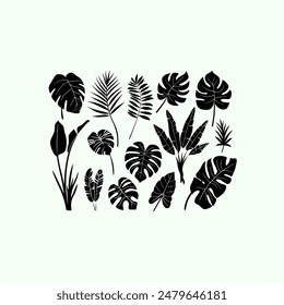 Set of black silhouettes of tropical leaves palms, trees. Vector