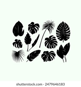 Set of black silhouettes of tropical leaves palms, trees. Vector
