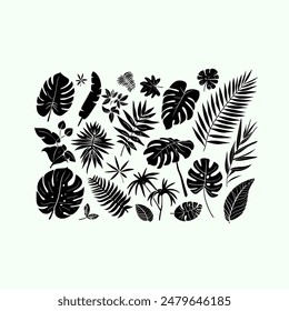 Set of black silhouettes of tropical leaves palms, trees. Vector