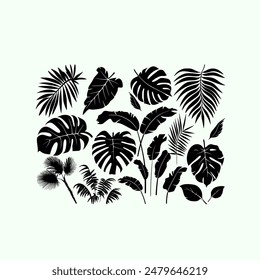 Set of black silhouettes of tropical leaves palms, trees. Vector