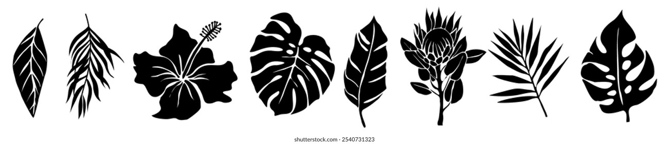 Conjunto de siluetas negras de hojas tropicales, flores. Mano dibujada elegante palma exótica, hojas de monstera, protea, flores de hibisco. Ilustraciones vectoriales botánicas de moda aisladas sobre fondo blanco